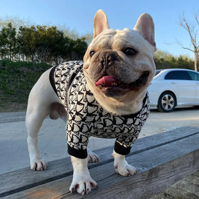 Designer inspired Dog Jumper