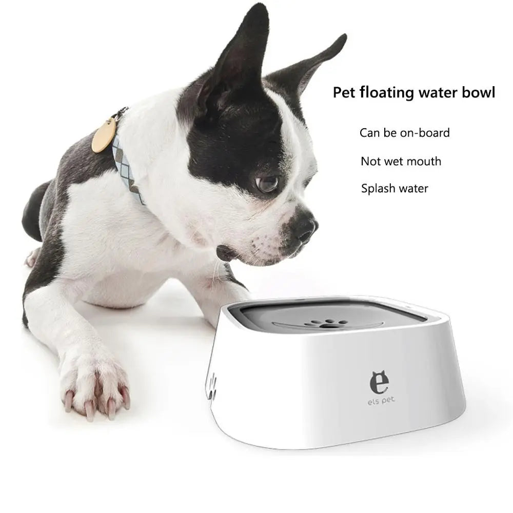 Dog Drinking Bowl