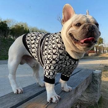 Designer inspired Dog Jumper