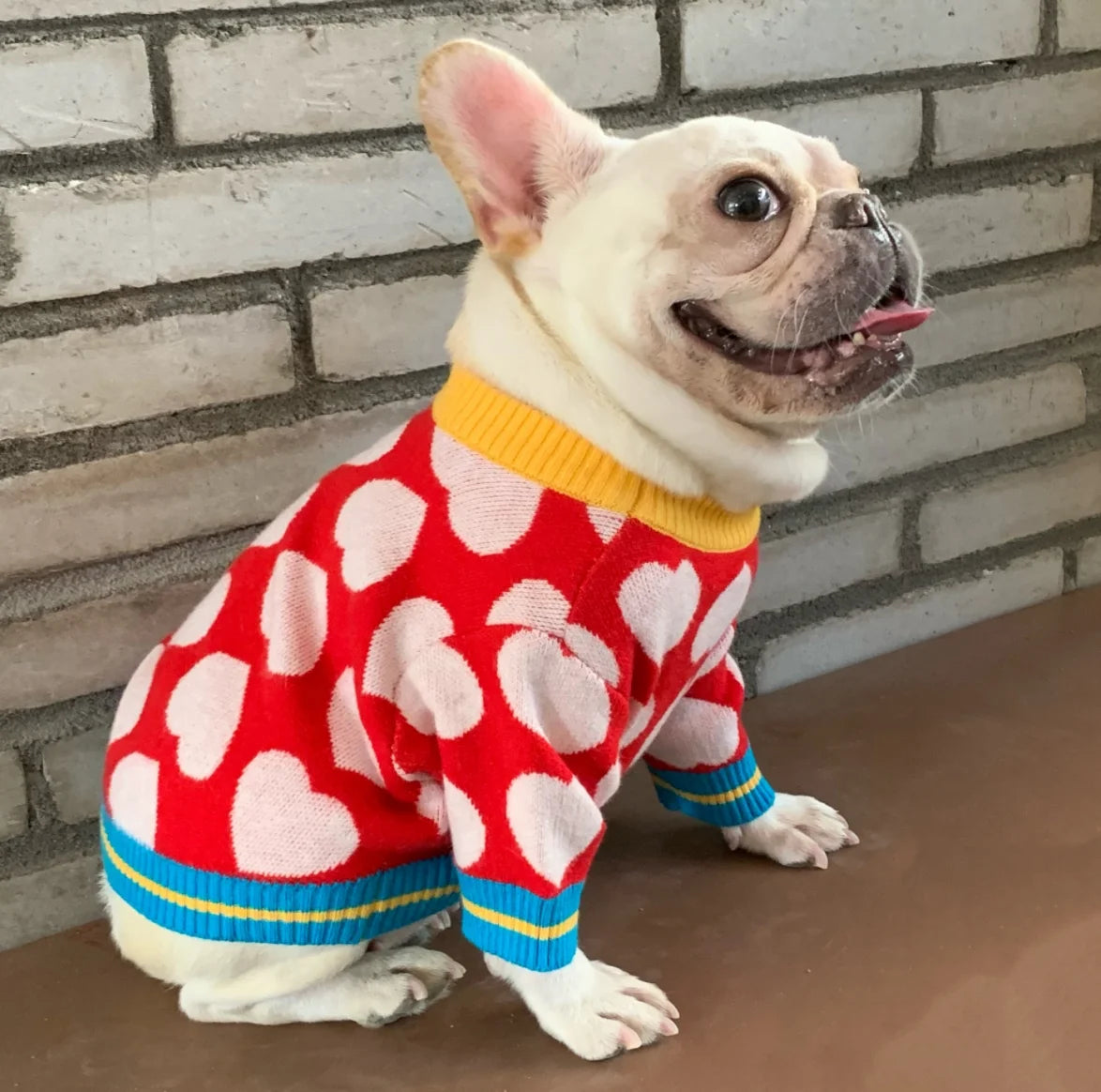 Luxury Passion Heart Dog Jumper