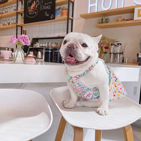 Luxury Tutti Frutti Dog Dress