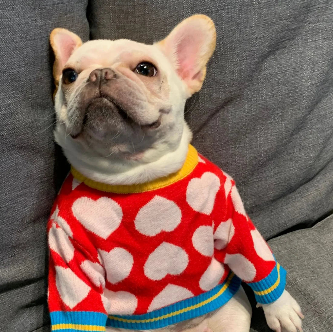 Luxury Passion Heart Dog Jumper