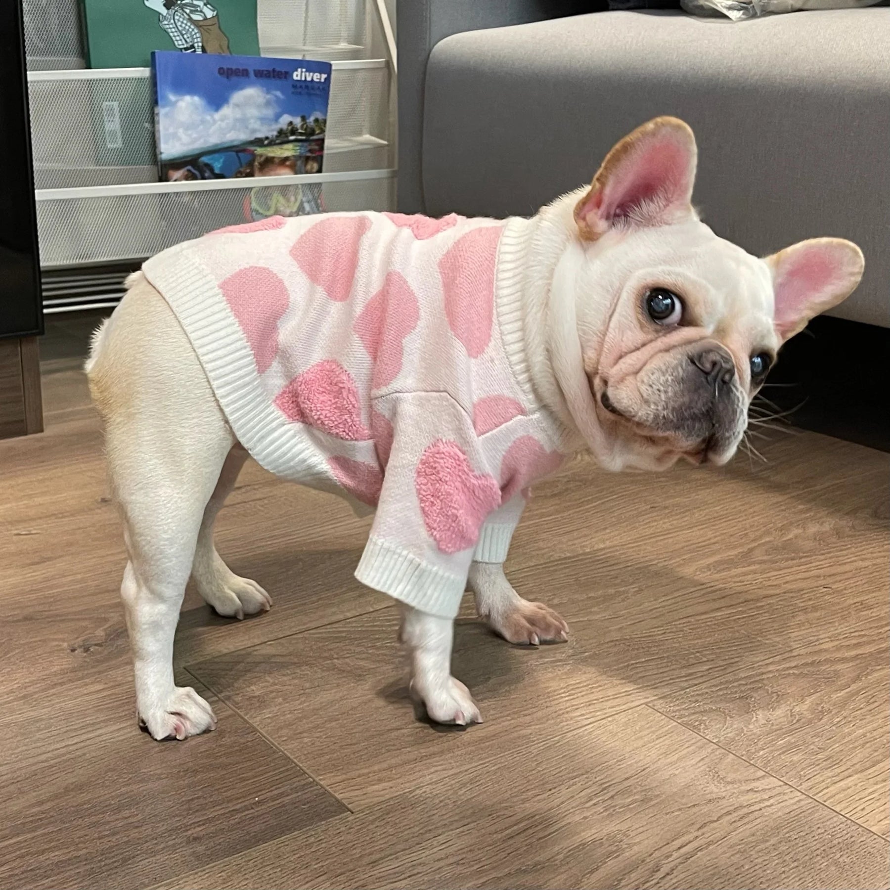 Luxury Pastille Pink Heart Dog Jumper