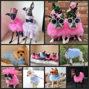 Luscious Faux Fur Couture Dog Coat