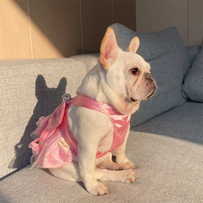 Elegant Diamante Brooch Pink Dog Dress