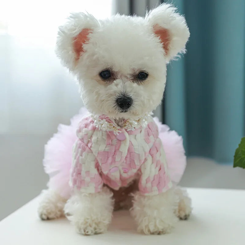 Fashion Paris Couture Dog Dress