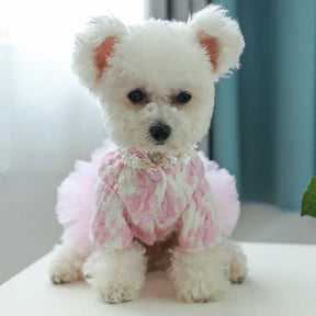 Fashion Paris Couture Dog Dress