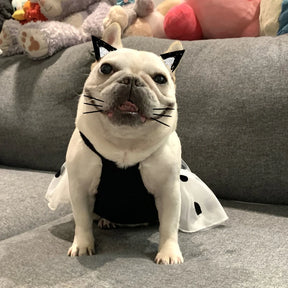 Chanel Inspired Black and White Dog Dress