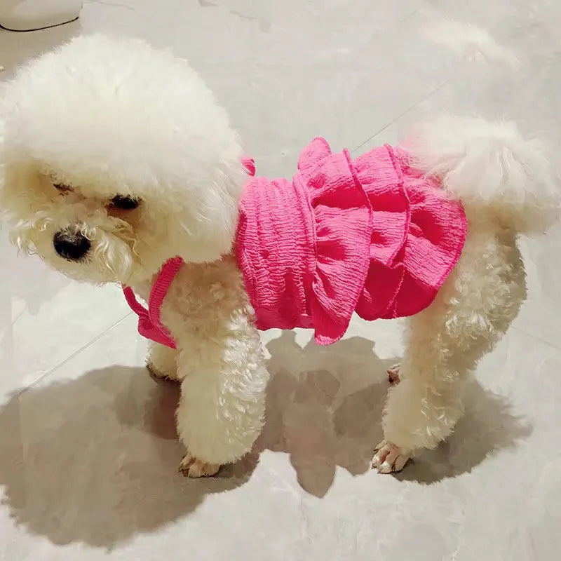 Luxury Frill Skirt Couture Dog Dress