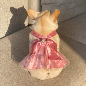 Elegant Diamante Brooch Pink Dog Dress