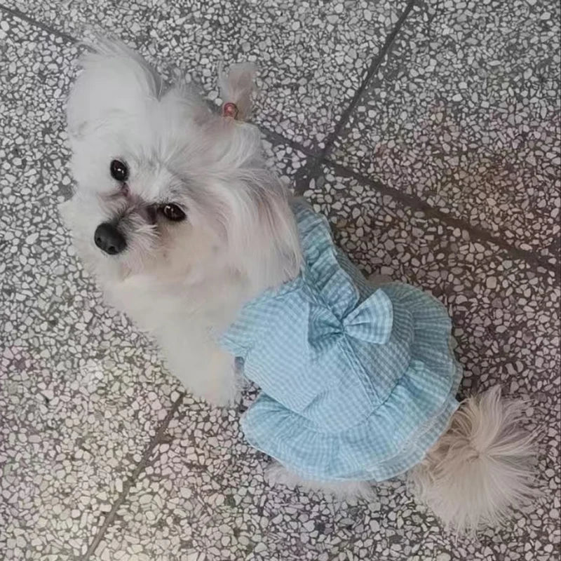 Luxury Frill Skirt Couture Dog Dress