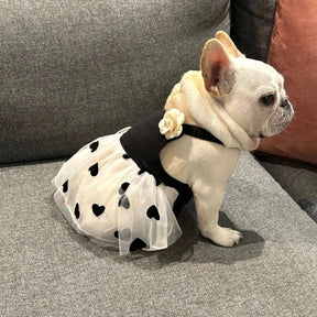 Chanel Inspired Black and White Dog Dress