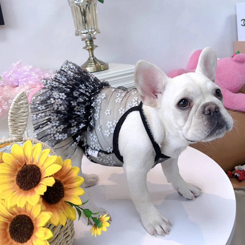 Glamorous Sparkling Tutu Skirt Dog Dress