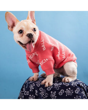 Designer inspired Dog Jumper